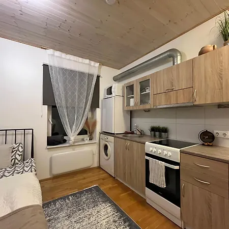 Laura Comfy Kappeli 8-2 29 Near Bus Station Airport Apartment *