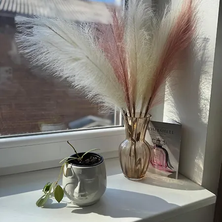 Laura Comfy Kappeli 8-2 Near Airport, Next To The Bus Station Lägenhet