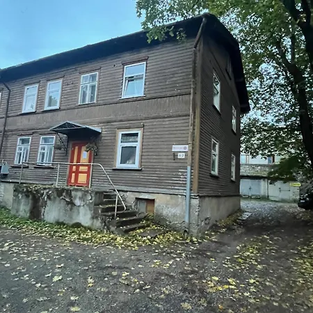 Laura Comfy Kappeli 8-2 29 Near Airport Next To The Bus Station Апартаменты *