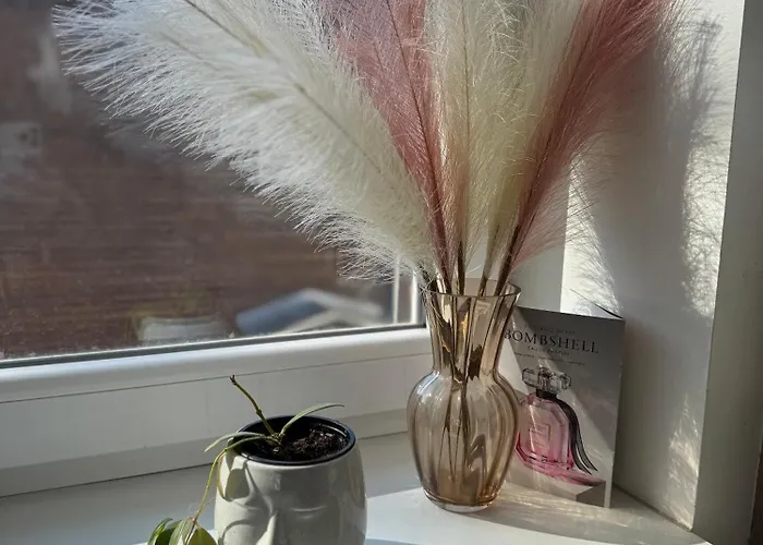 Laura Comfy Kappeli 8-2 Near Airport, Next To The Bus Station Апартаменты